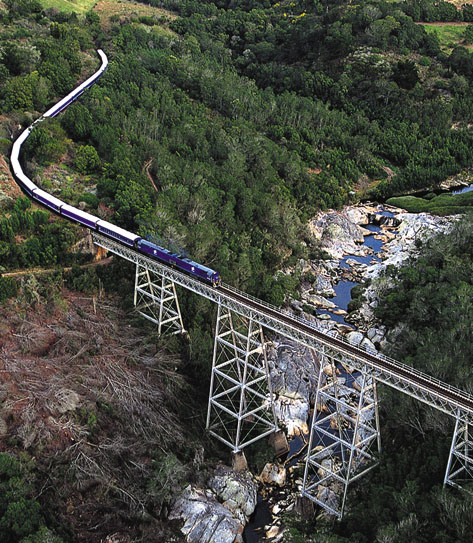 245487-blue-train-over-bridge-on-the-garden-route.jpg