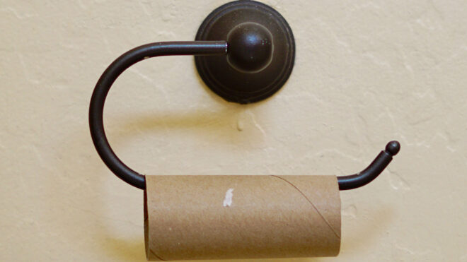 nominated-empty-toilet-paper-roll-regularactivities-household-chores-gut-problems-ibs-crohns_t20_29djek