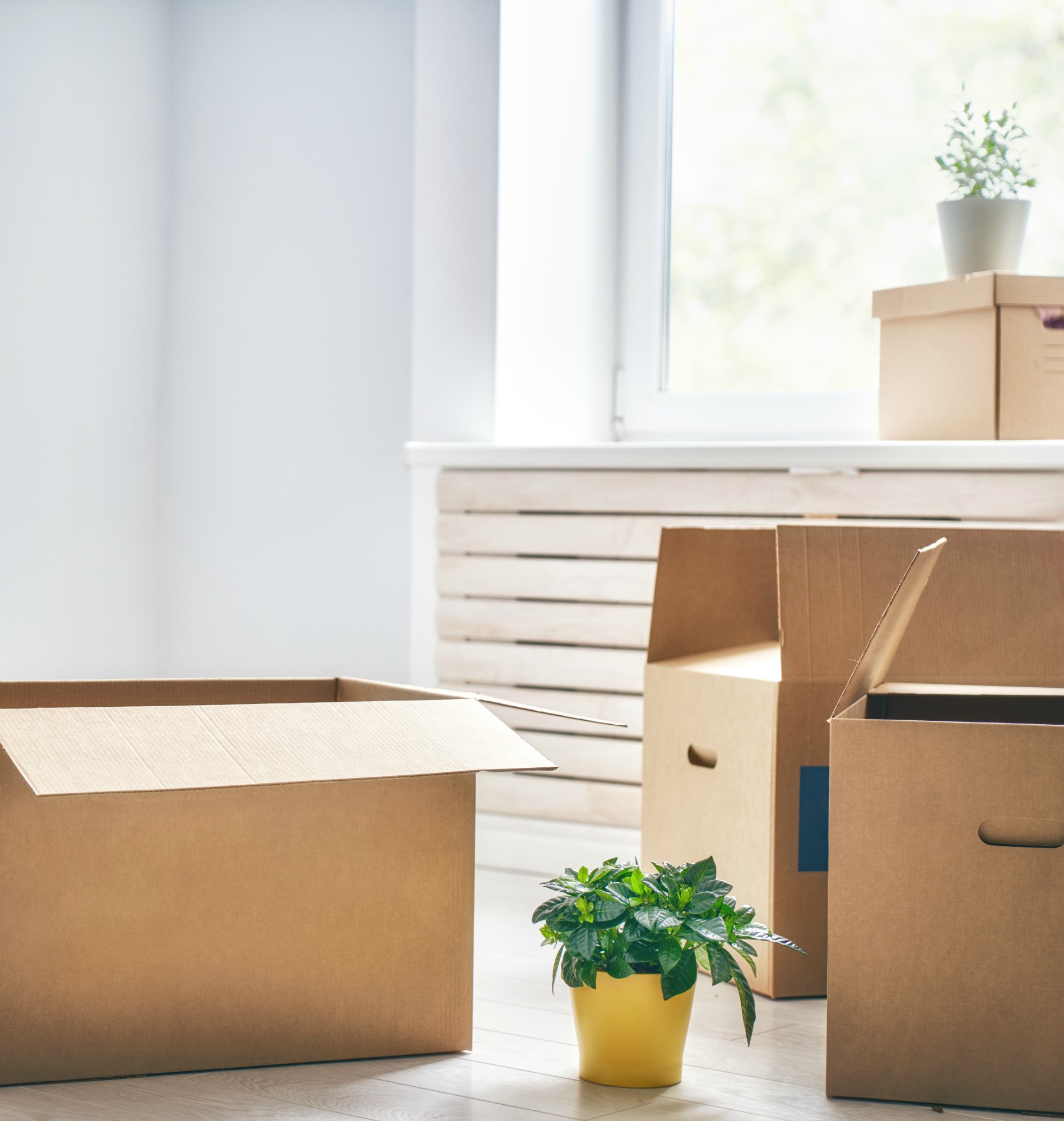 old-stuff-day-tips-marie-kondo-save-for-later
