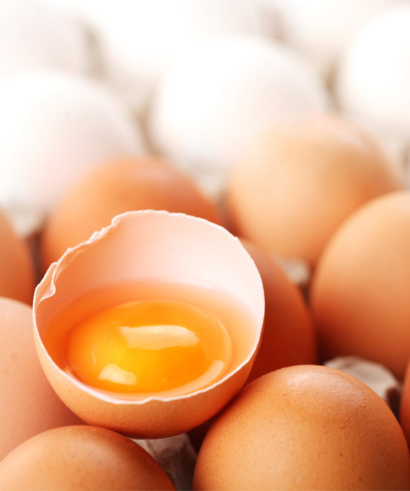 2888-skin_egg.jpg