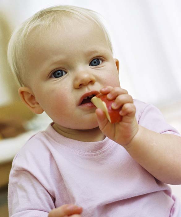 31170-teething2c.jpg