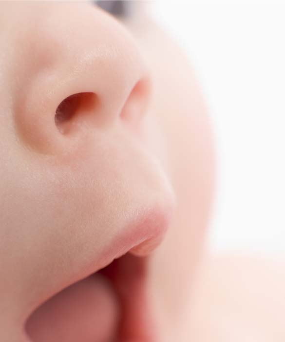 31174-teething6c.jpg