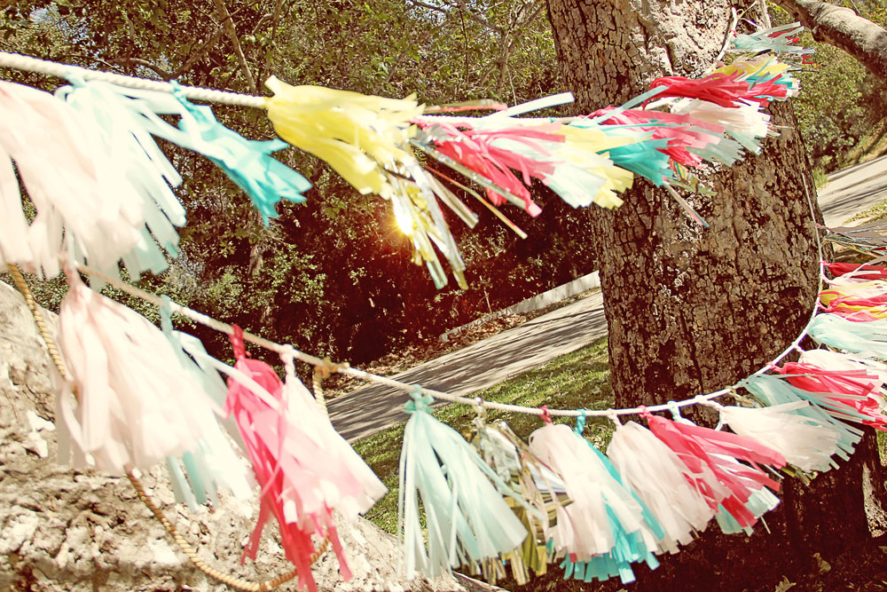 3386-image2_tissuetasselgarland.jpg