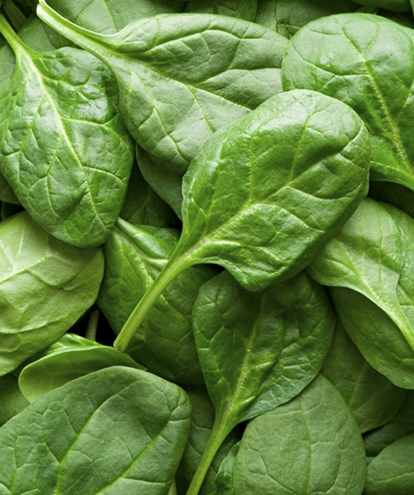 34399-3-eating-leafy-veg.jpg