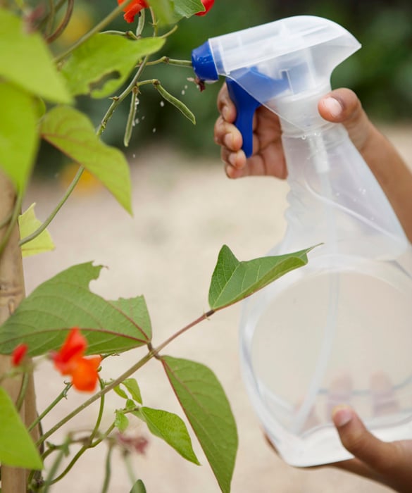 36233-activities-that-promote-fine-motor-skills-in-toddlers2c.jpg