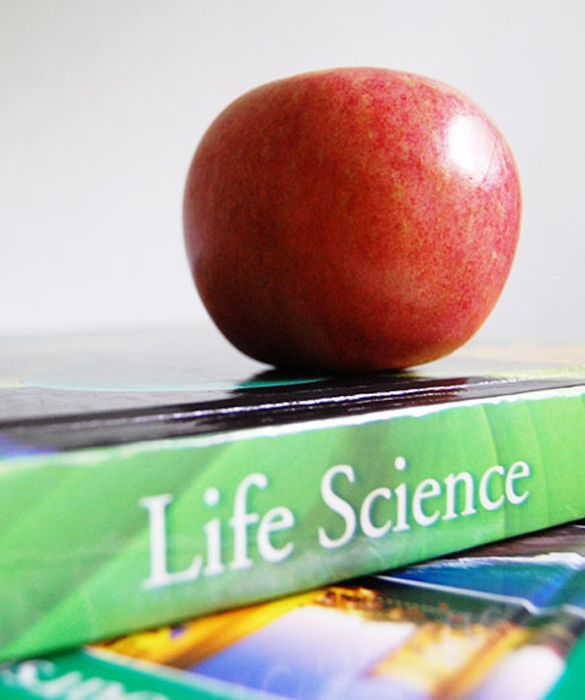 36387-2_traditionalhomeschooltohomeschool_rachelmatos.jpg