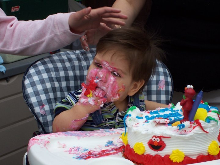 37599-the-monkeys-first-birthday-by-marcene-nardine.jpg