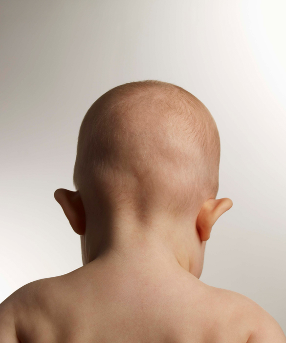 38290-5_88303577.jpg