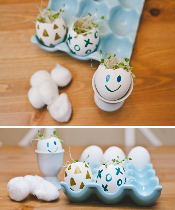 40890-eggs.jpg