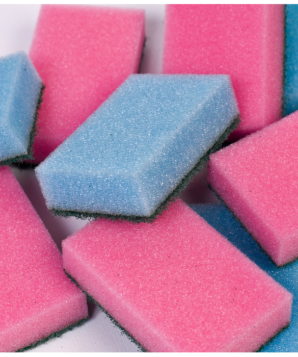 41173-3-sponges.jpg