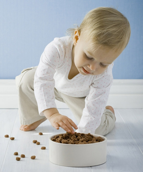 4237-petfoodcropped.jpg