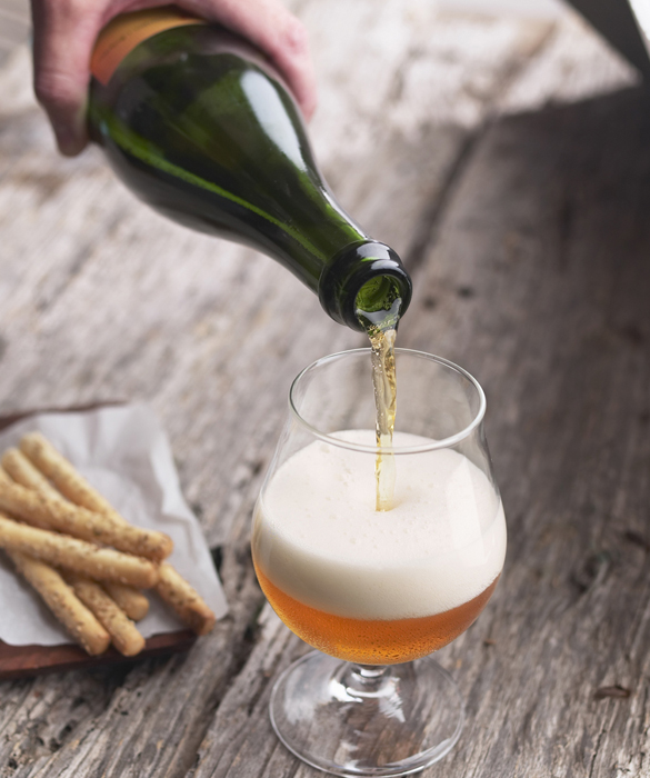 45204-crafty-mom-craft-beer-101-5c.jpg