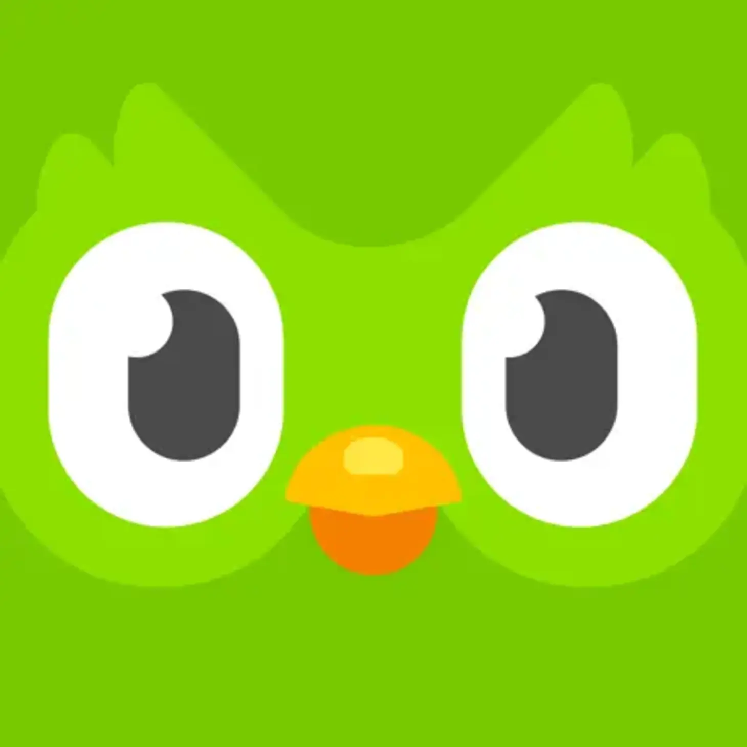 460x0w-7.webp