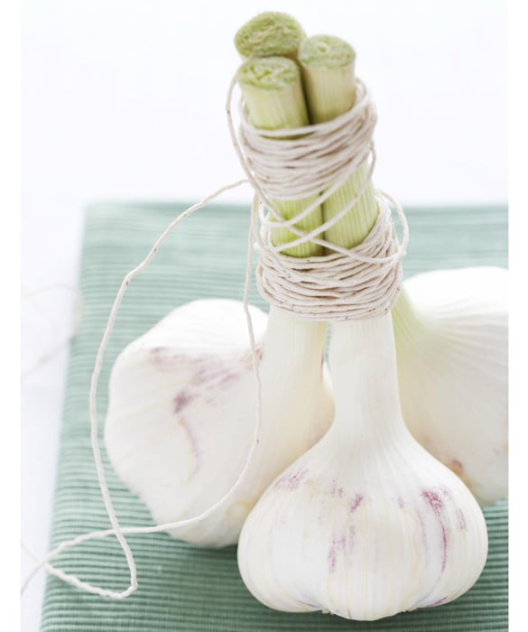 48346-produce-guide-how-to-pick-and-prep-vegetables6c.jpg
