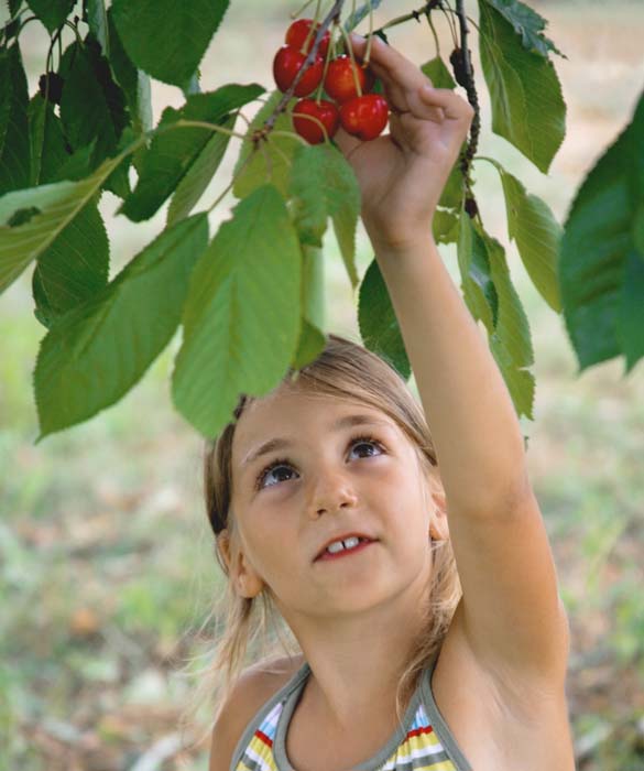 48428-produce-guide-how-to-pick-and-prep-fruits2c.jpg