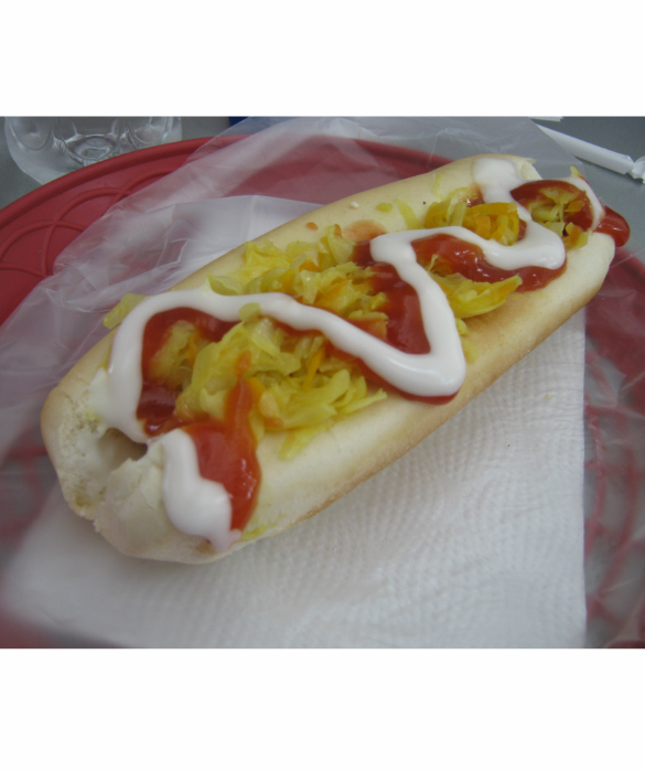 48722-salvadoran-hot-dog.jpg