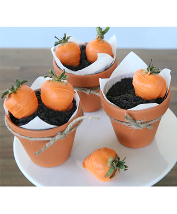 49178-sized_carrot_veggie_cake.jpg