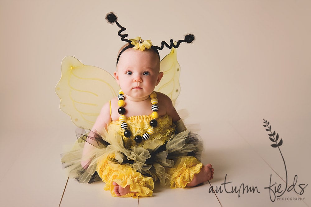50475-bee.jpg