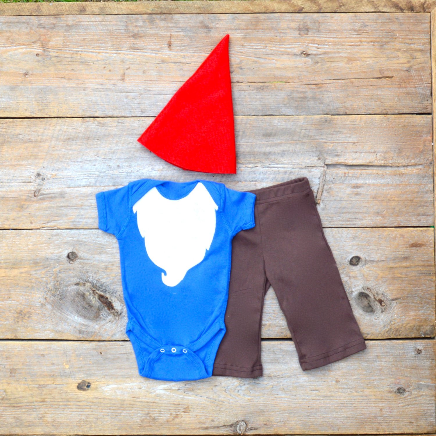 50482-gnome.jpg