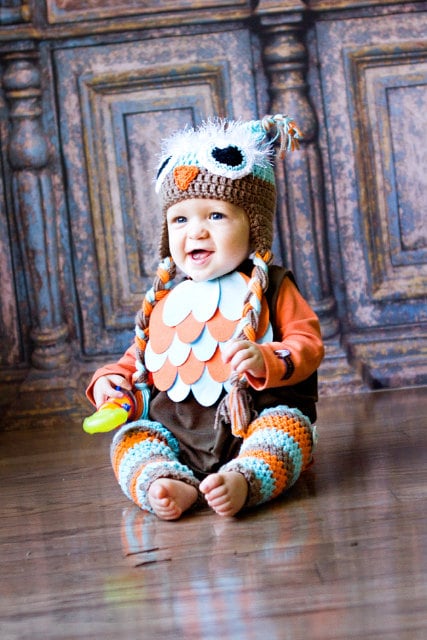 50483-owl.jpg