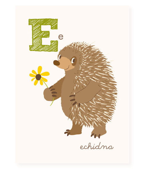 50771-e.jpg