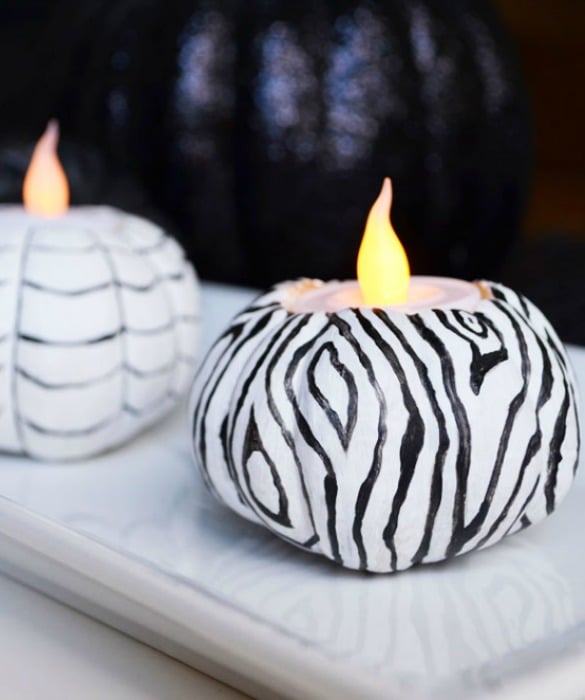 54449-zebra-pumpkin.jpg 54449-zebra-pumpkin.jpg