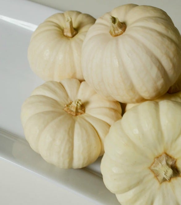 54450-white-pumpkins.jpg