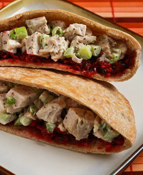 57085-14_1-turkey-salad-pita-cranberry-salsa-500x500-kalynskitch.jpg