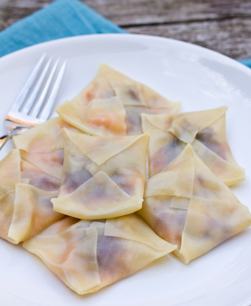 57113-43-turkey-ravioli.jpg