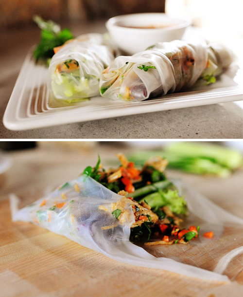 57120-49-turkey-springs-rolls.jpg