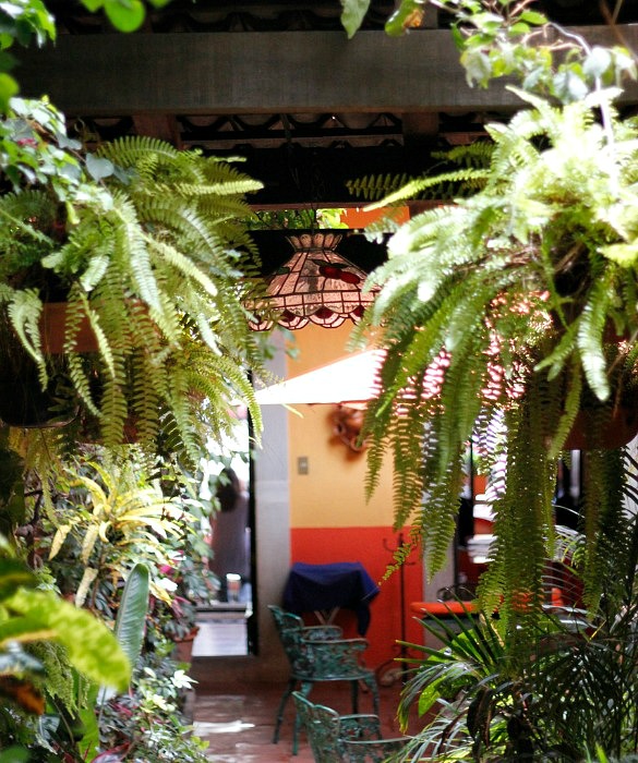 58474-02-posadas-open-space.jpg
