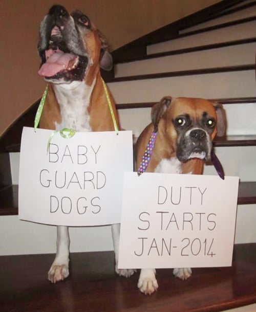 58926-6-birth-announcements.jpg