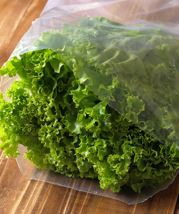61398-lettuce-juicing.jpg