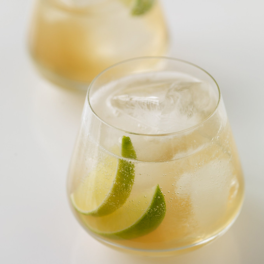 62854-2-cactus-chill-agave-margarita-recipe.jpg 62854-2-cactus-chill-agave-margarita-recipe.jpg