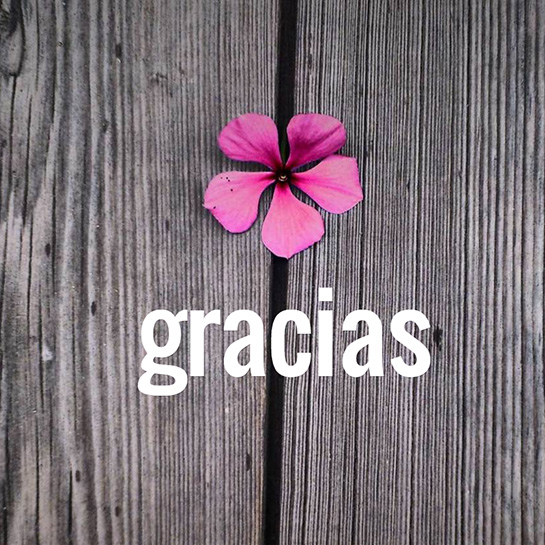 67460-1-gracias-mom.jpg 67460-1-gracias-mom.jpg