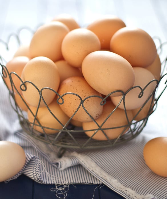6798-eggs.jpg