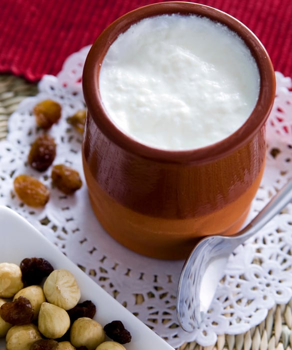 6801-gyogurt.jpg