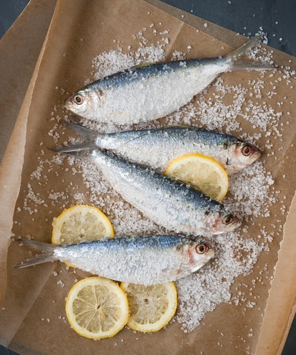 6804-sardines.jpg