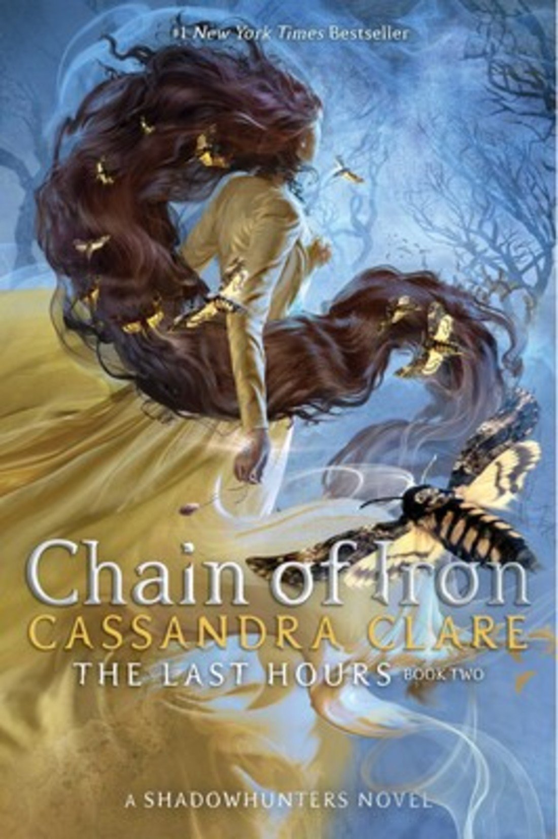 7._chain_of_iron-1.jpg