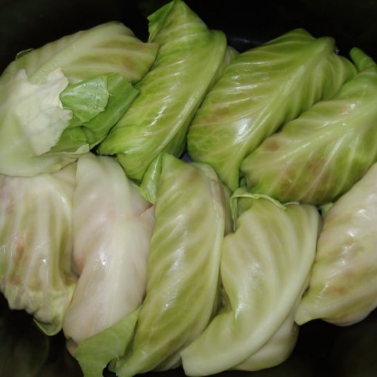 75966-cabbage-rolls.jpg 75966-cabbage-rolls.jpg