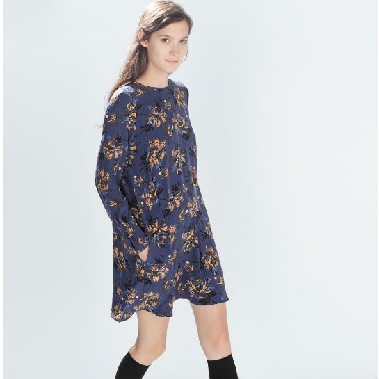 76461-zara-dress.jpg
