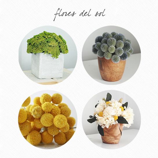 76498-floresdelsol.jpg