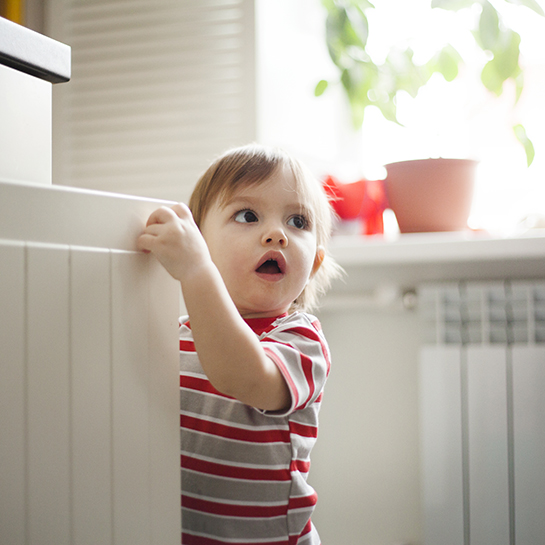 77322-12-toddler.jpg