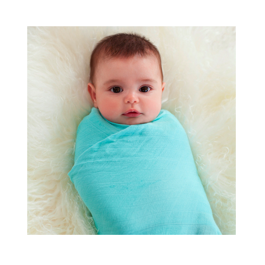 78200-4-aden-and-anais-swaddle-cloth.png