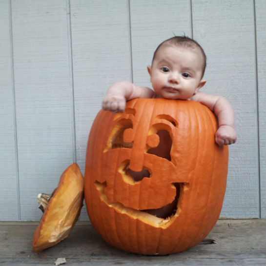 79279-baby-in-pumpkin-5.jpg