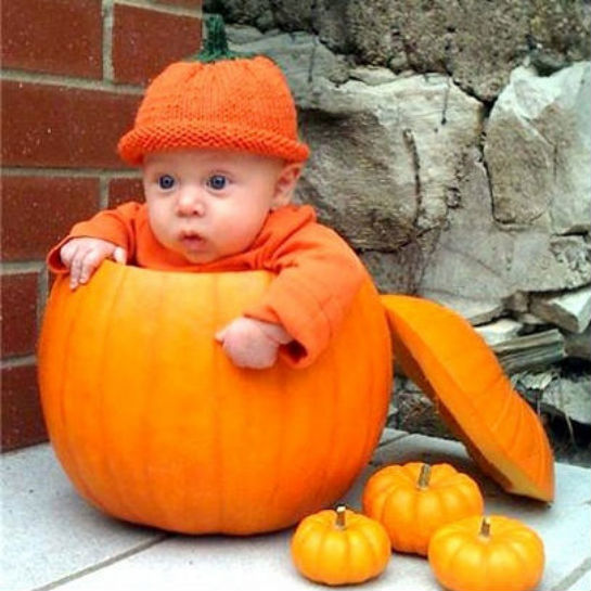 79282-baby-in-pumpkin-boo.jpg