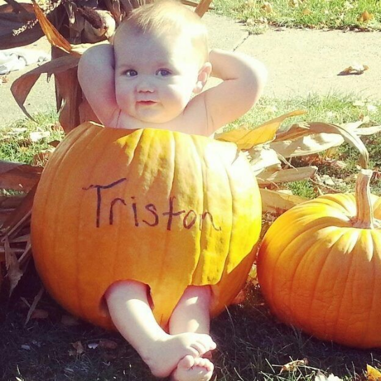 79292-tristan-in-pumpkin.png