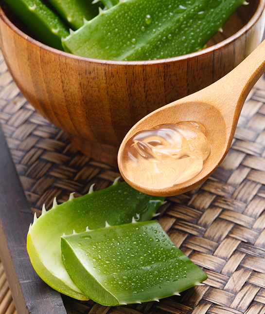 79843-4-aloe-vera.jpg