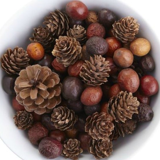 82822-pinecones.jpg