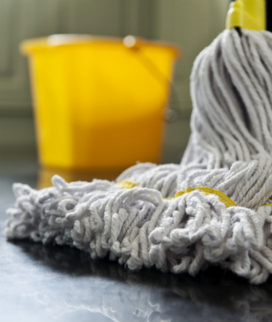 83171-mop.jpg